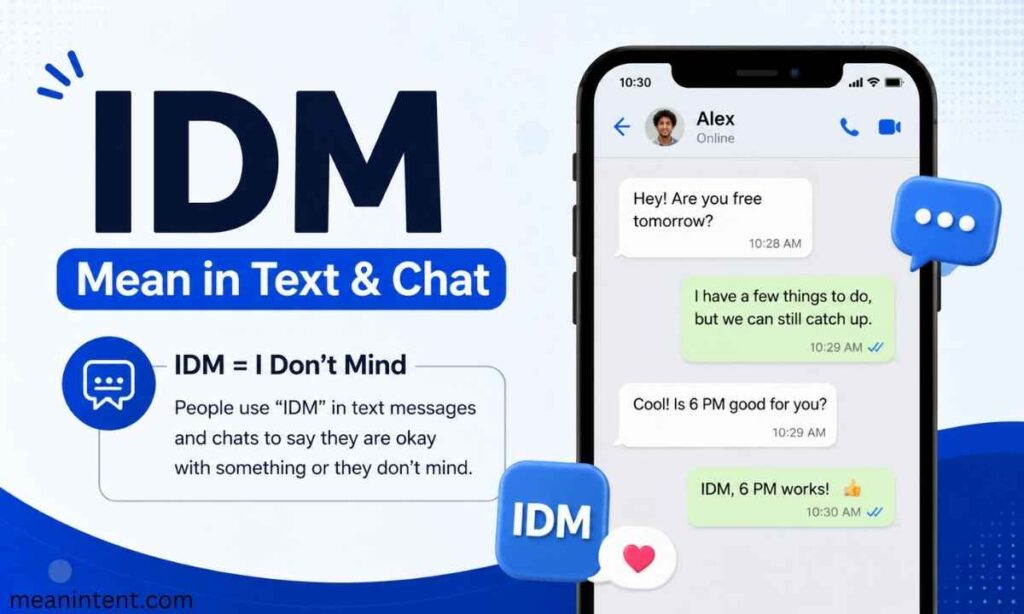 idm-mean-in-text-and-chat