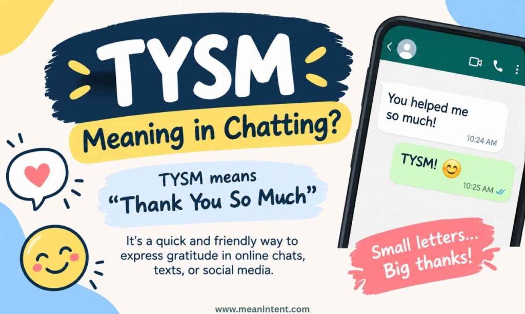 meaning-of-tysm-in-chatting