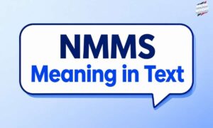nmms-meaning-in-text