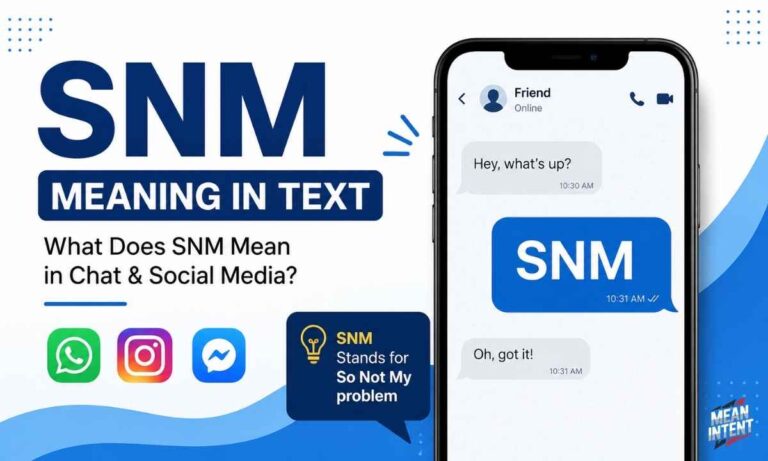 snm-meaning-in-text