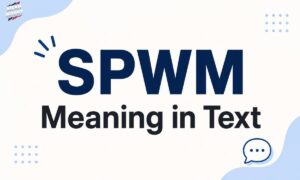 spwm-meaning-in-text