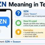 szn-meaning-in-text