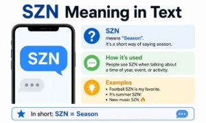szn-meaning-in-text