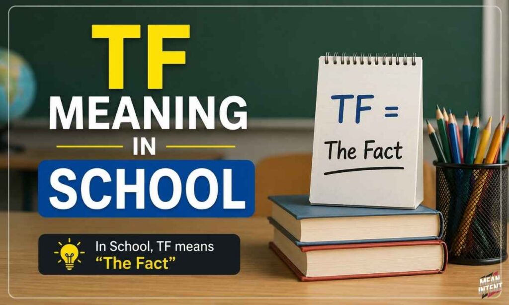 tf-meaning-in-school