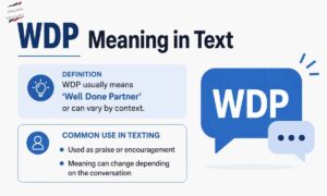 wdp-meaning-in-text