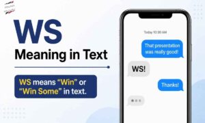 ws-meaning-in-text