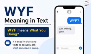 wyf-meaning-in-text