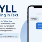 wyll-meaning-in-text