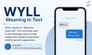 wyll-meaning-in-text