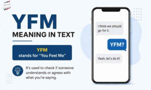 yfm-meaning-in-text