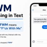 fwm-meaning-in-text