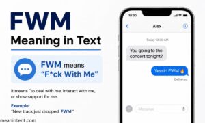 fwm-meaning-in-text
