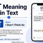 idt-meaning-in-text