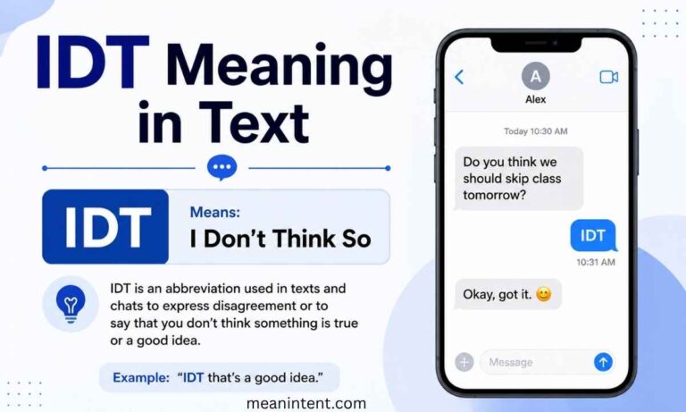 idt-meaning-in-text