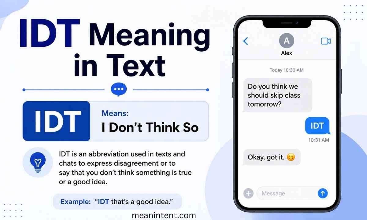 idt-meaning-in-text