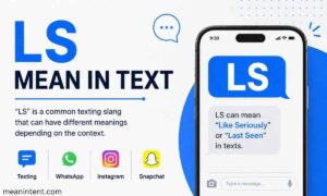 ls-mean-in-text