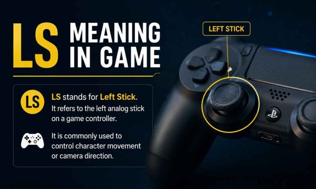 ls-meaning-in-game
