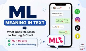 ml-meaning-in-text