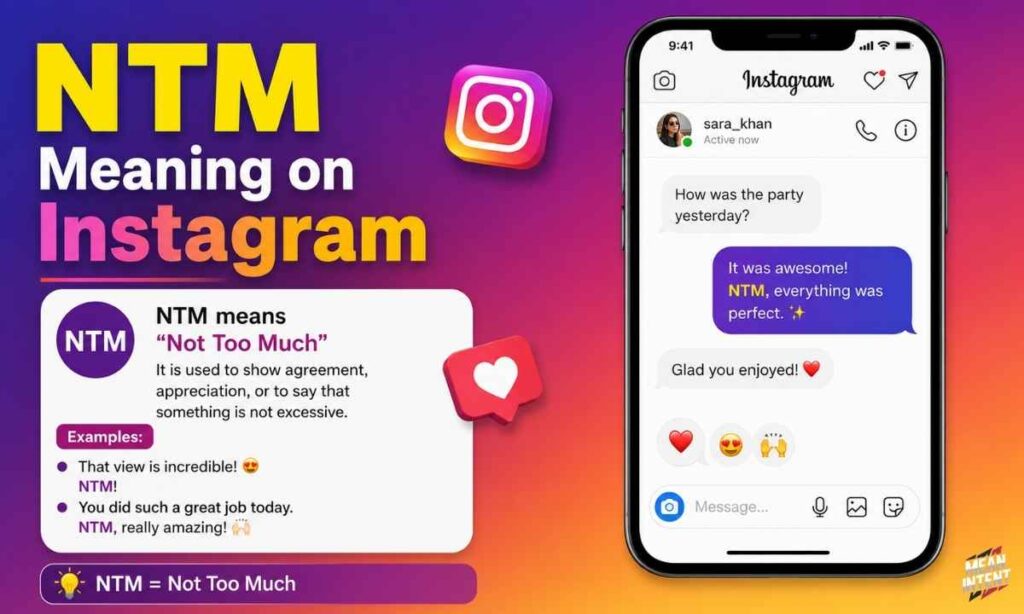 ntm-meaning-on-instagram