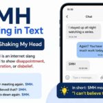 smh-meaning-in-text