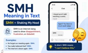 smh-meaning-in-text