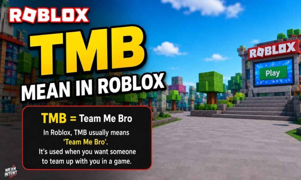tmb-mean-in-roblox