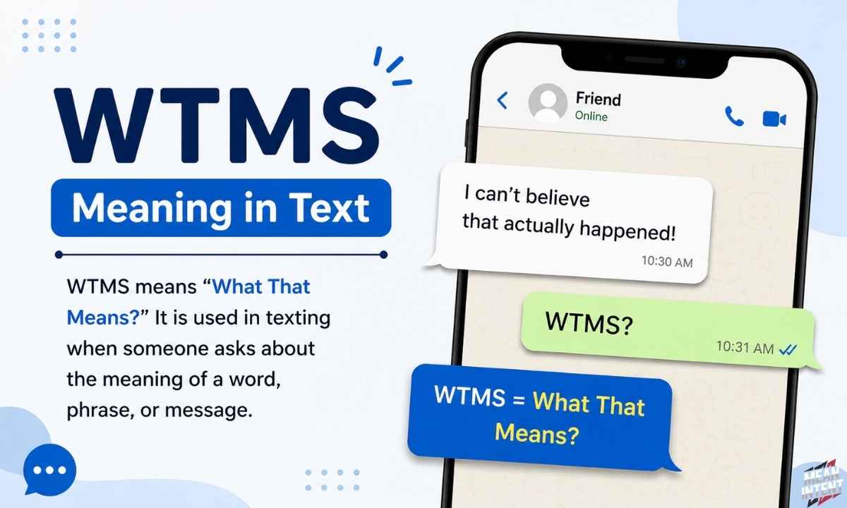 wtms-meaning-in-text