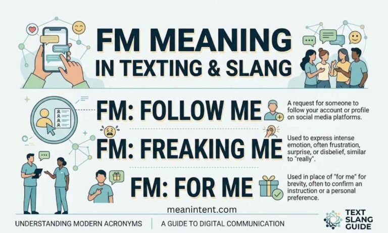 fm-meaning-in-text
