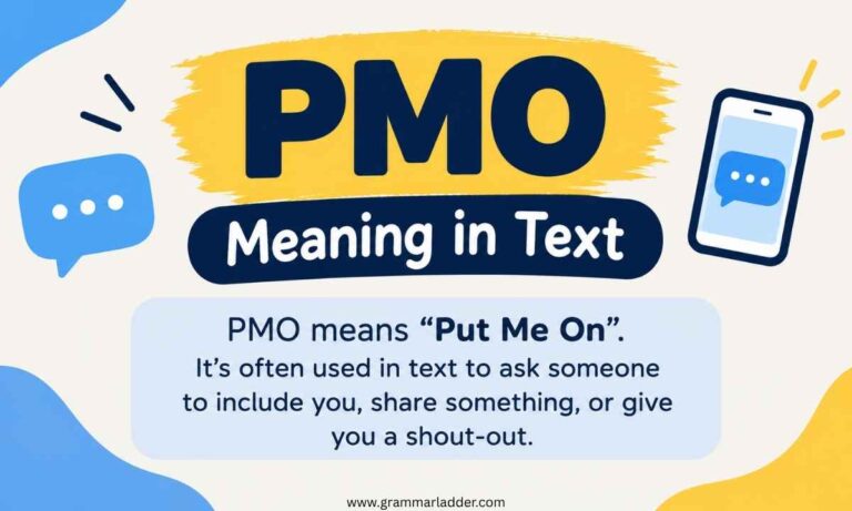 pmo-meaning-in-text