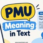 pmu-meaning-in-text