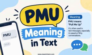 pmu-meaning-in-text