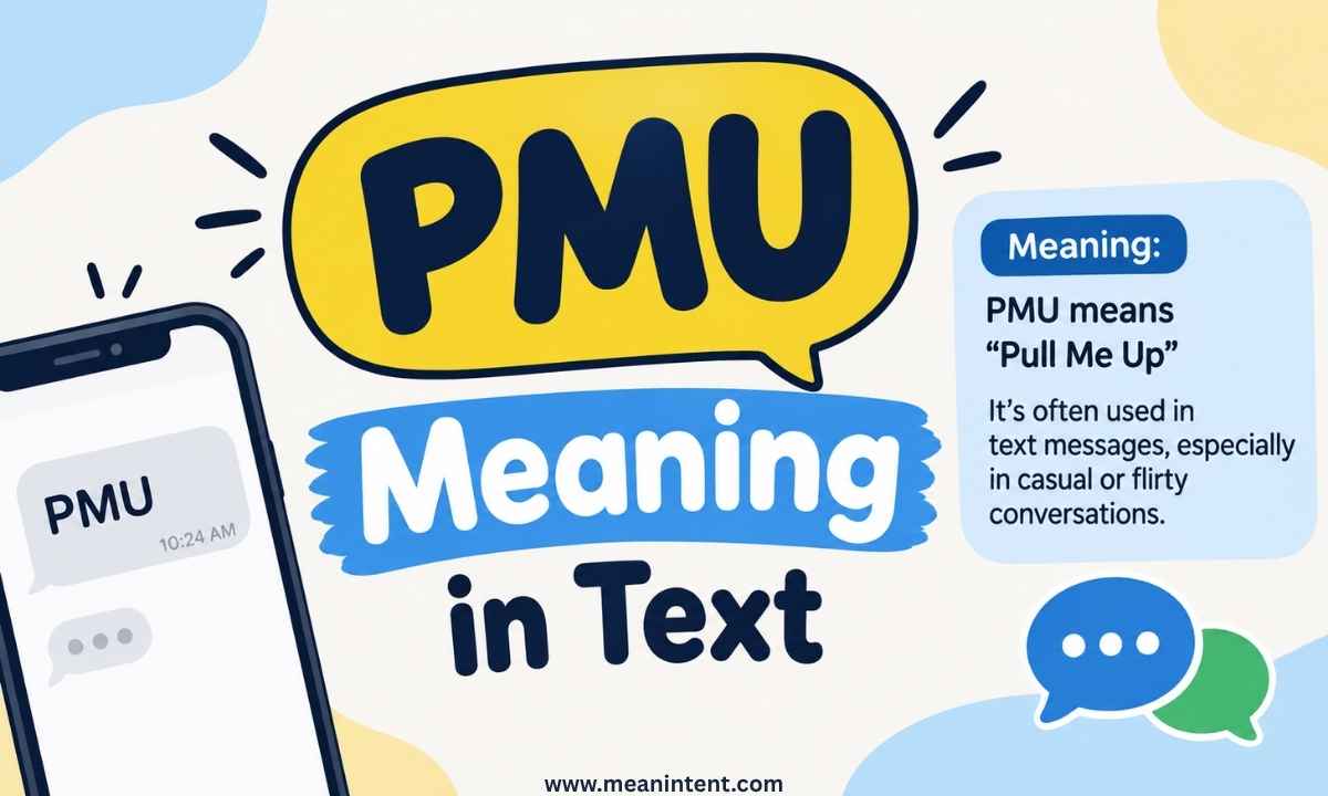 pmu-meaning-in-text