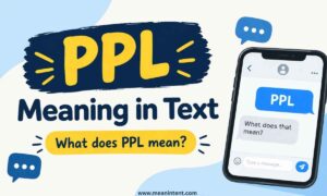ppl-meaning-in-text