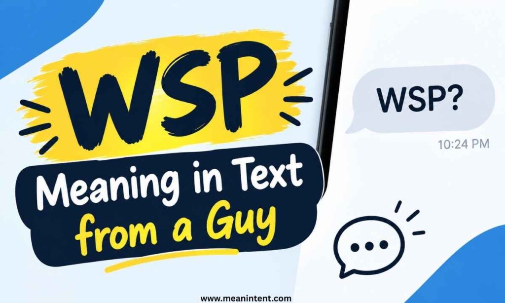 wsp-meaning-in-text-from-a-guy
