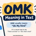 omk-meaning-in-text