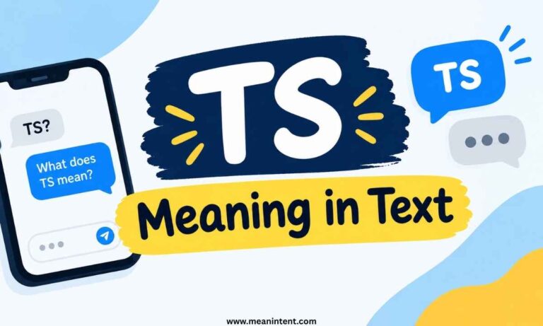 ts-meaning-in-text