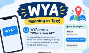 wya-meaning-in-text